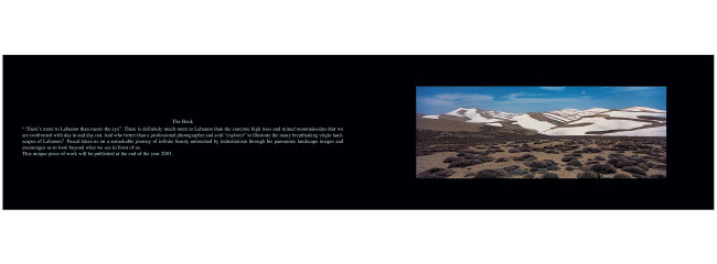 Page 4 - Beiteddine Exhibition